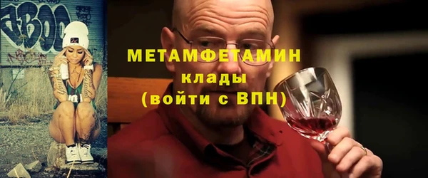 прущие грибы Бронницы