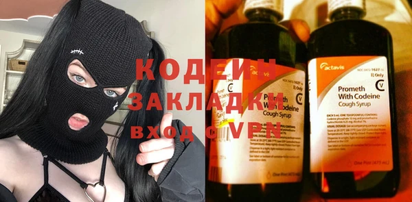 прущие грибы Бронницы